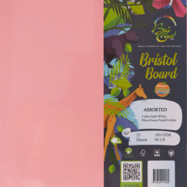 Bristol Boards Assorted Colour Pack